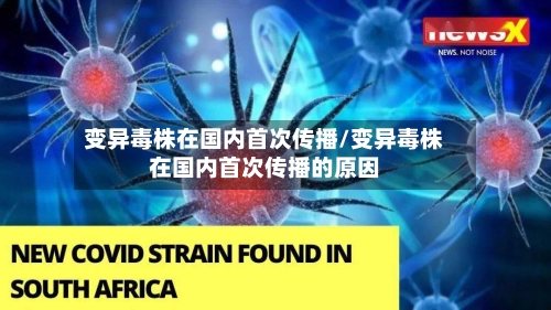 变异毒株在国内首次传播/变异毒株在国内首次传播的原因