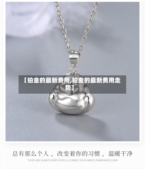 【铂金的最新费用,铂金的最新费用走势】