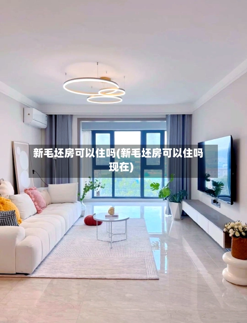 新毛坯房可以住吗(新毛坯房可以住吗现在)-第3张图片