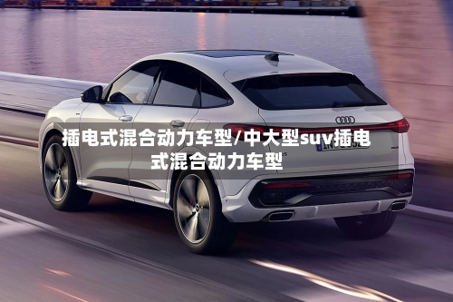 插电式混合动力车型/中大型suv插电式混合动力车型