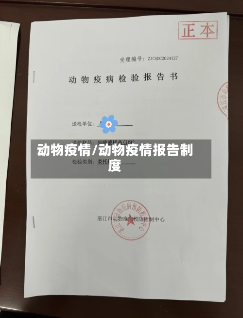 动物疫情/动物疫情报告制度