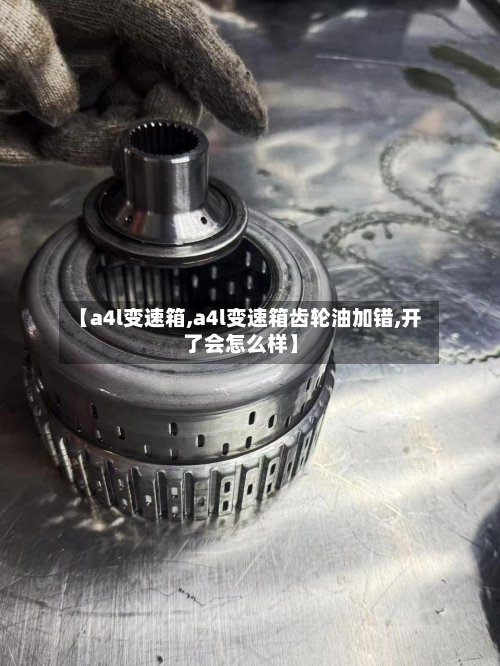 【a4l变速箱,a4l变速箱齿轮油加错,开了会怎么样】-第3张图片