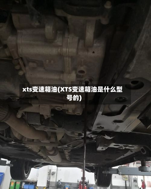 xts变速箱油(XTS变速箱油是什么型号的)-第3张图片