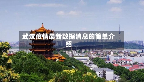 武汉疫情最新数据消息的简单介绍