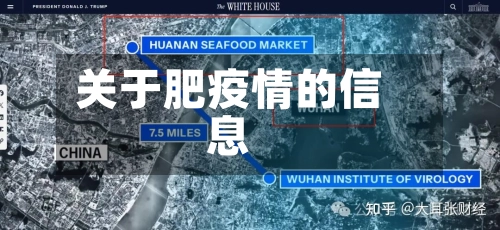 关于肥疫情的信息-第3张图片