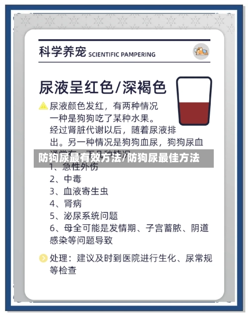 防狗尿最有效方法/防狗尿最佳方法