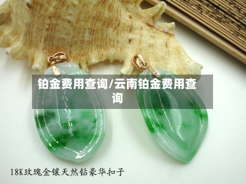 铂金费用查询/云南铂金费用查询