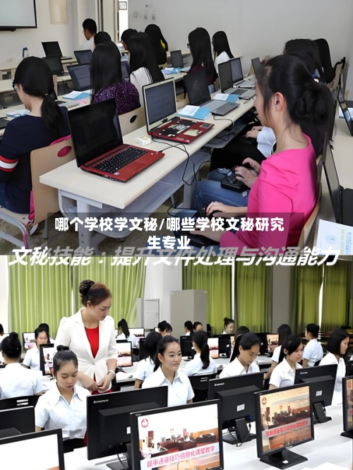 哪个学校学文秘/哪些学校文秘研究生专业