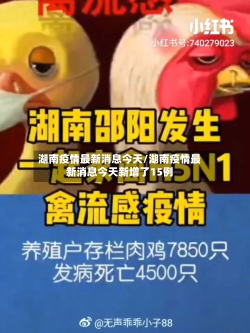 湖南疫情最新消息今天/湖南疫情最新消息今天新增了15例
