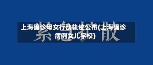 上海确诊母女行动轨迹公布(上海确诊病例女儿学校)-第3张图片