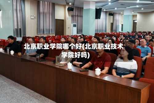 北京职业学院哪个好(北京职业技术学院好吗)-第2张图片