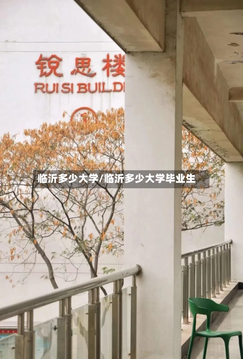 临沂多少大学/临沂多少大学毕业生-第3张图片