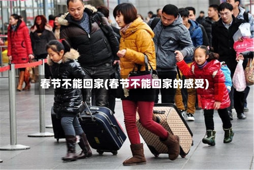 春节不能回家(春节不能回家的感受)-第3张图片