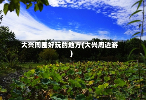 大兴周围好玩的地方(大兴周边游)-第2张图片