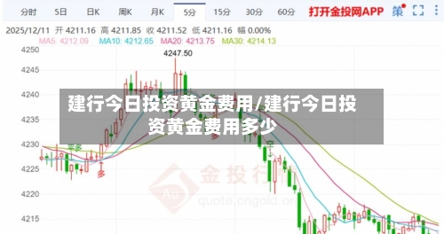 建行今日投资黄金费用/建行今日投资黄金费用多少