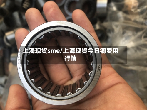 上海现货sme/上海现货今日铜费用行情-第3张图片