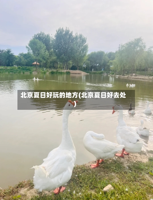 北京夏日好玩的地方(北京夏日好去处)