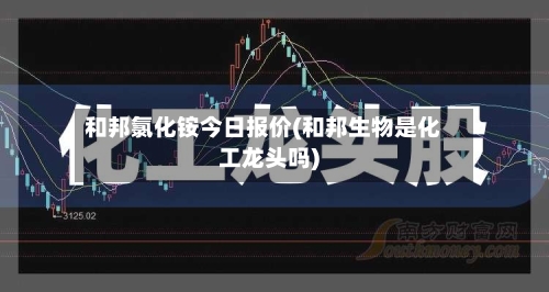 和邦氯化铵今日报价(和邦生物是化工龙头吗)-第2张图片