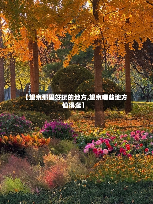【望京那里好玩的地方,望京哪些地方值得逛】-第2张图片