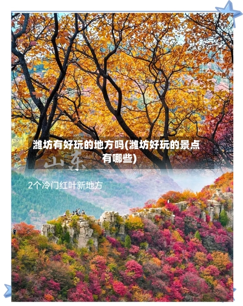 潍坊有好玩的地方吗(潍坊好玩的景点有哪些)-第2张图片