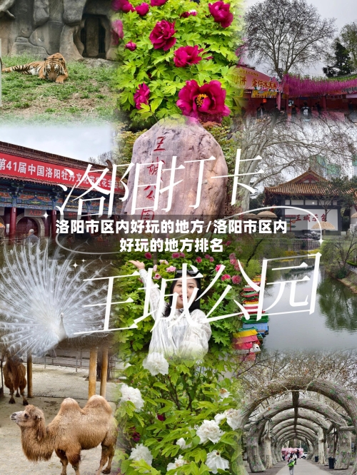 洛阳市区内好玩的地方/洛阳市区内好玩的地方排名-第2张图片