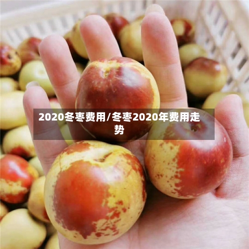 2020冬枣费用/冬枣2020年费用走势