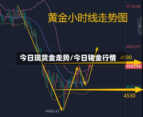 今日现货金走势/今日铑金行情-第3张图片