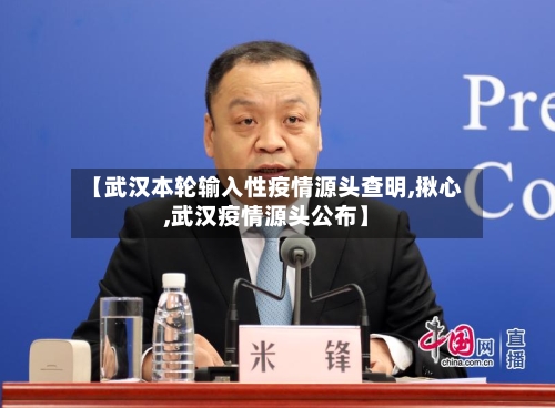 【武汉本轮输入性疫情源头查明,揪心,武汉疫情源头公布】