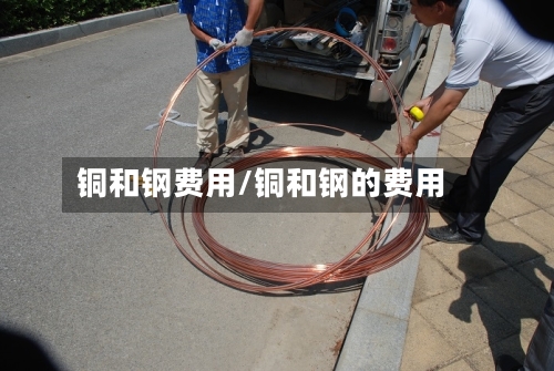 铜和钢费用/铜和钢的费用-第2张图片