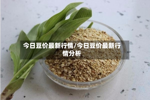 今日豆价最新行情/今日豆价最新行情分析