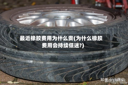 最近橡胶费用为什么贵(为什么橡胶费用会持续低迷?)-第2张图片