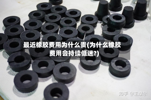 最近橡胶费用为什么贵(为什么橡胶费用会持续低迷?)