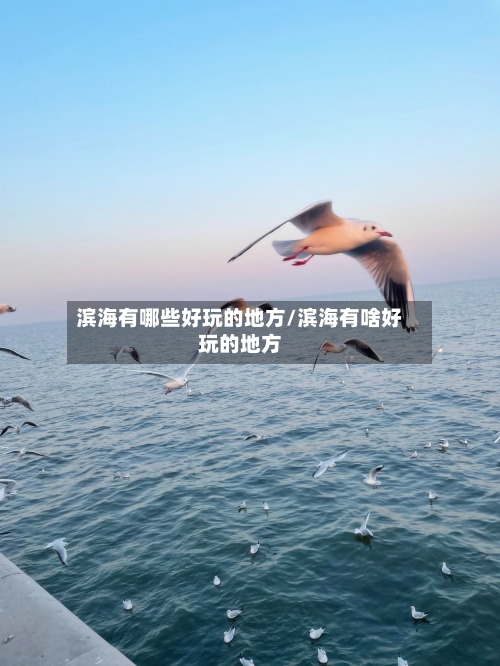 滨海有哪些好玩的地方/滨海有啥好玩的地方-第2张图片