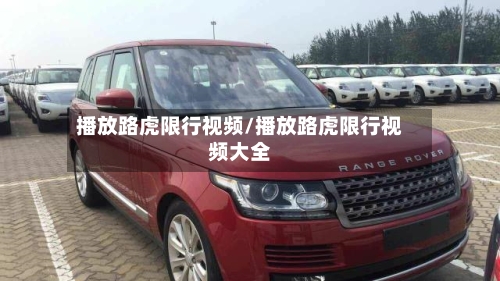 播放路虎限行视频/播放路虎限行视频大全