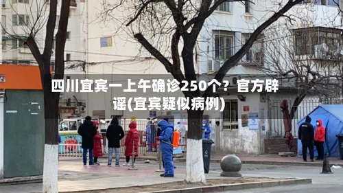 四川宜宾一上午确诊250个？官方辟谣(宜宾疑似病例)-第2张图片