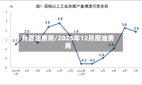 月原油费用/2025年12月原油费用