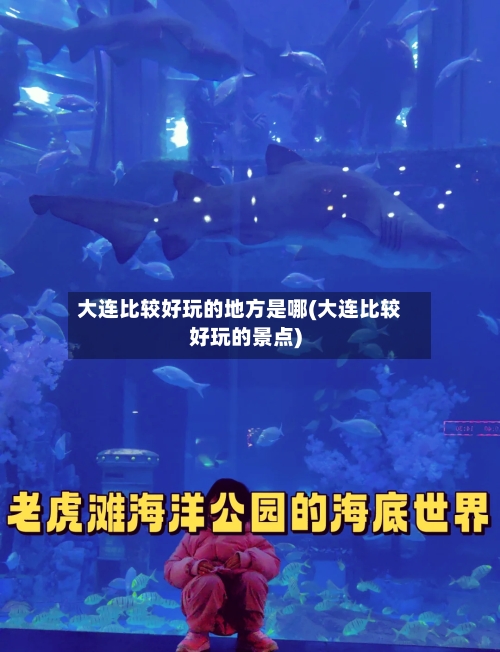 大连比较好玩的地方是哪(大连比较好玩的景点)