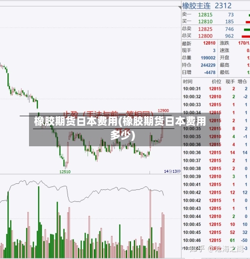 橡胶期货日本费用(橡胶期货日本费用多少)