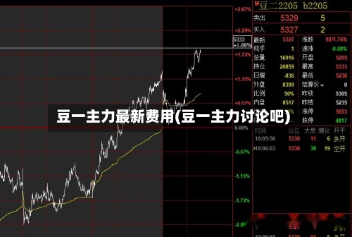 豆一主力最新费用(豆一主力讨论吧)