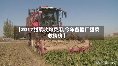 【2017甜菜收购费用,今年各糖厂甜菜收购价】