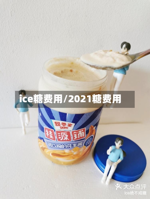 ice糖费用/2021糖费用