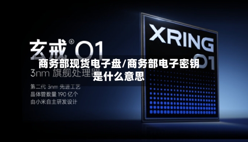 商务部现货电子盘/商务部电子密钥是什么意思