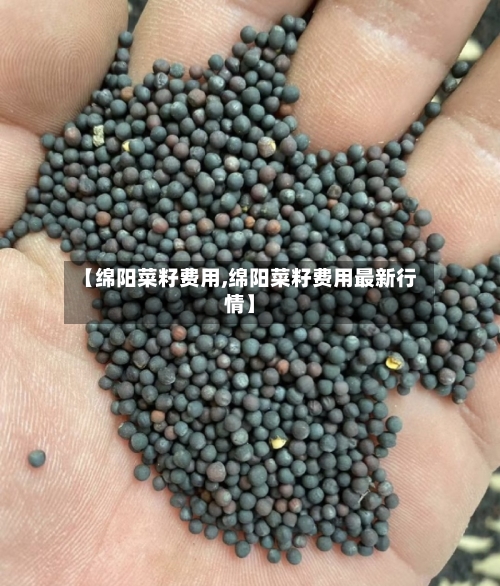 【绵阳菜籽费用,绵阳菜籽费用最新行情】