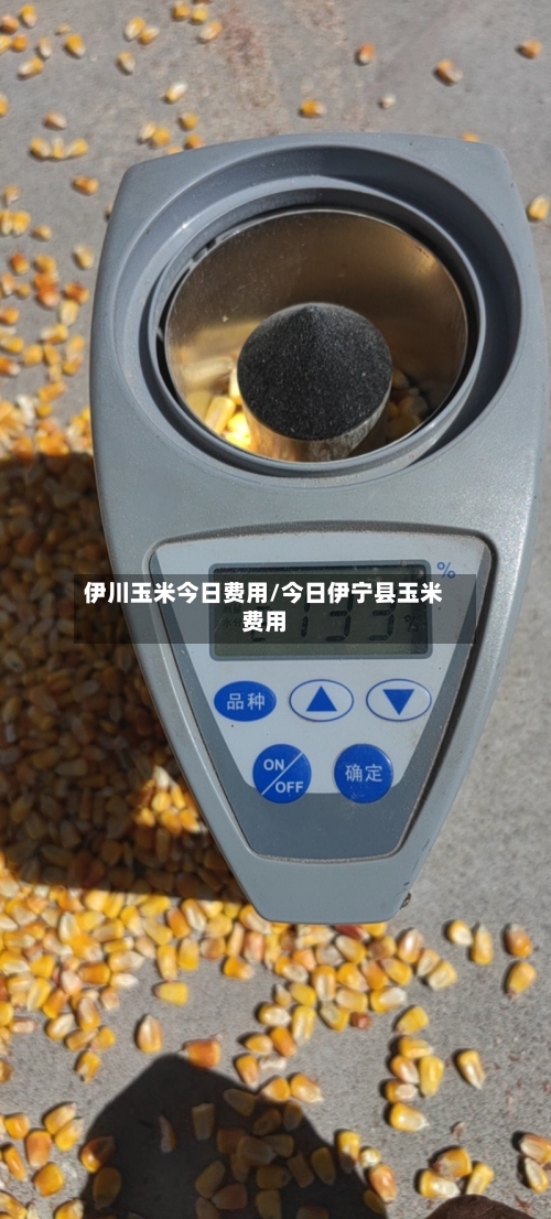 伊川玉米今日费用/今日伊宁县玉米费用