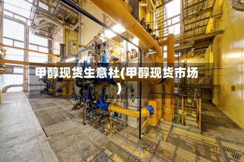 甲醇现货生意社(甲醇现货市场)