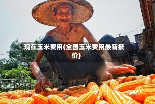 现在玉米费用(全国玉米费用最新报价)