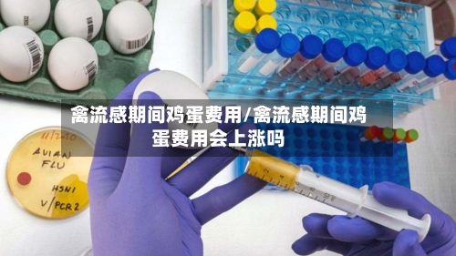 禽流感期间鸡蛋费用/禽流感期间鸡蛋费用会上涨吗