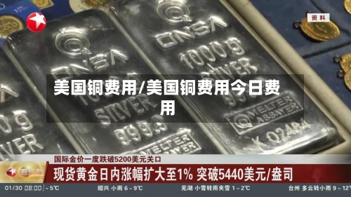 美国铜费用/美国铜费用今日费用