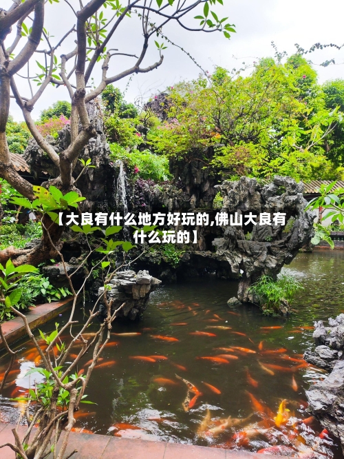 【大良有什么地方好玩的,佛山大良有什么玩的】