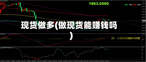 现货做多(做现货能赚钱吗)